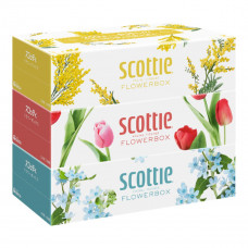 NP Салфетки Crecia "Scottie Flowerbox" двухслойные, 250 шт. х 3 коробки