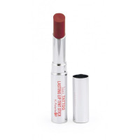 LASTING LIP TINT STICK MATTE Увлажняющий полуматовый тинт для губ, тон 04, каштановый